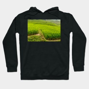 MongHoa Valley 3 Hoodie